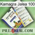 Kamagra Jelly 100 11